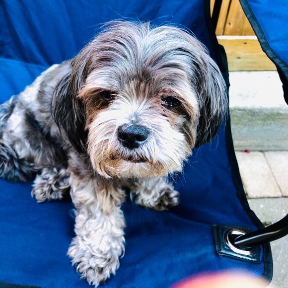 Meet your Posher Ella - Picture 8 of 14